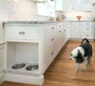 Use Custom Cabinets for Pet Care Supplies - Craig Allen Designs : Craig ...